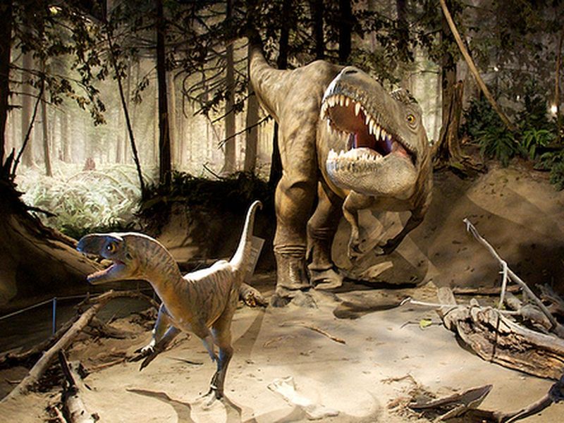 Dinosaur Carcasses And Their Impact On Ancient Food Chains