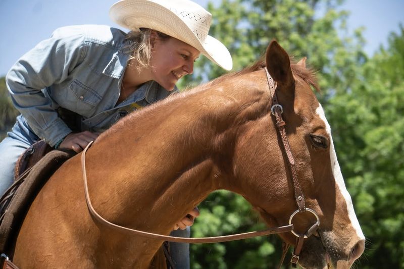 Horses: Partners Through History