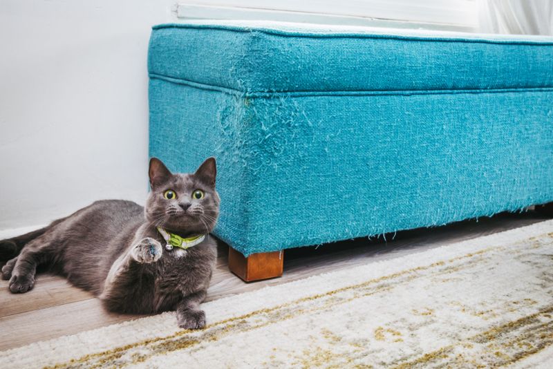 Apply Furniture-Friendly Tape