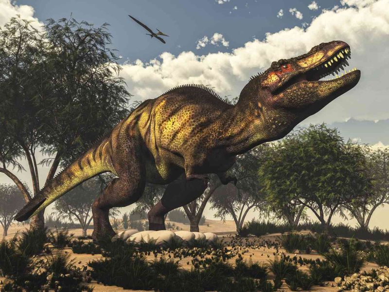 Environmental Adaptations Needed