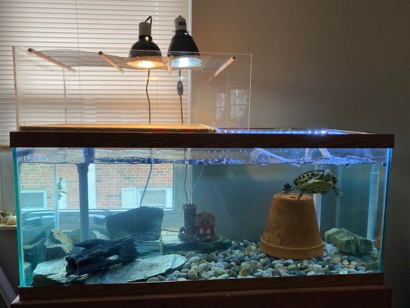 Choose The Right Tank Size
