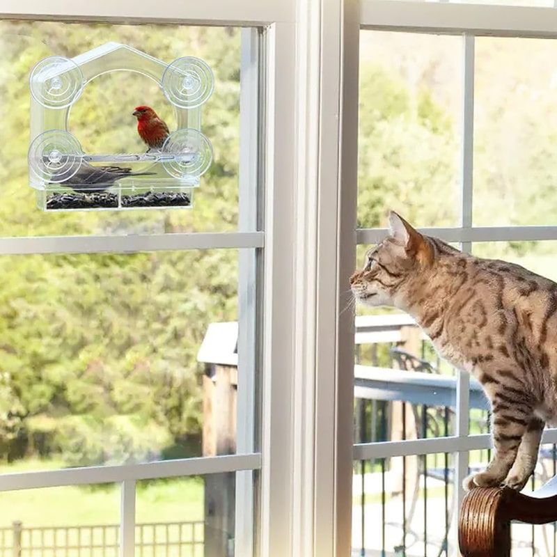 Keep Cats Indoors
