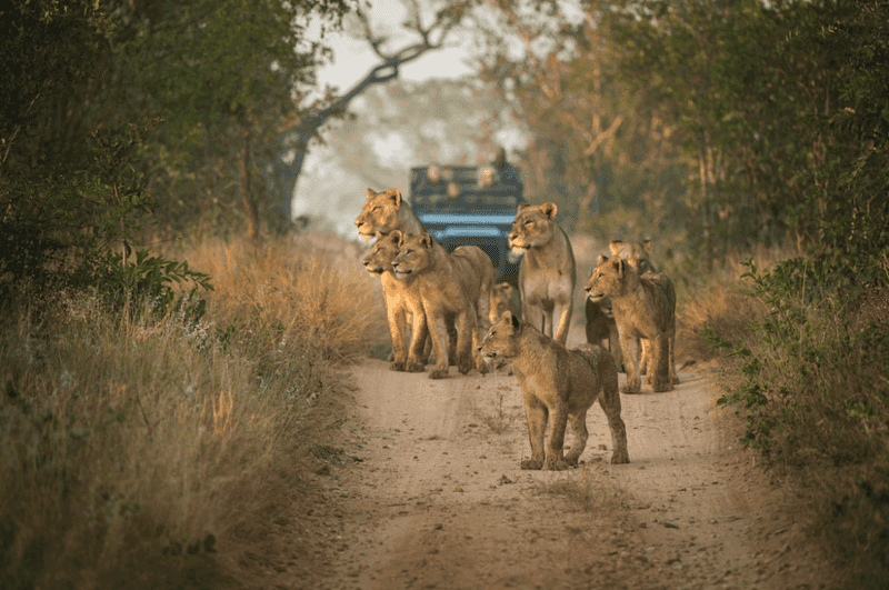Sustainable Tourism Opportunities