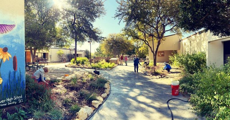 Creating Community Monarch Waystations