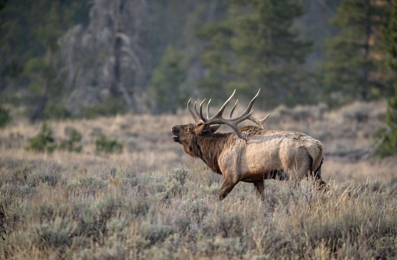 Grand Teton National Park, Wyoming