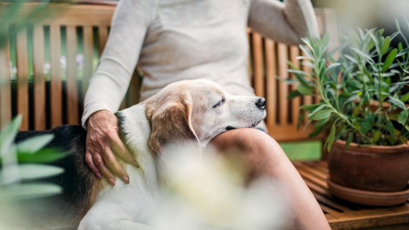 Comfort: Creating A Bucket List