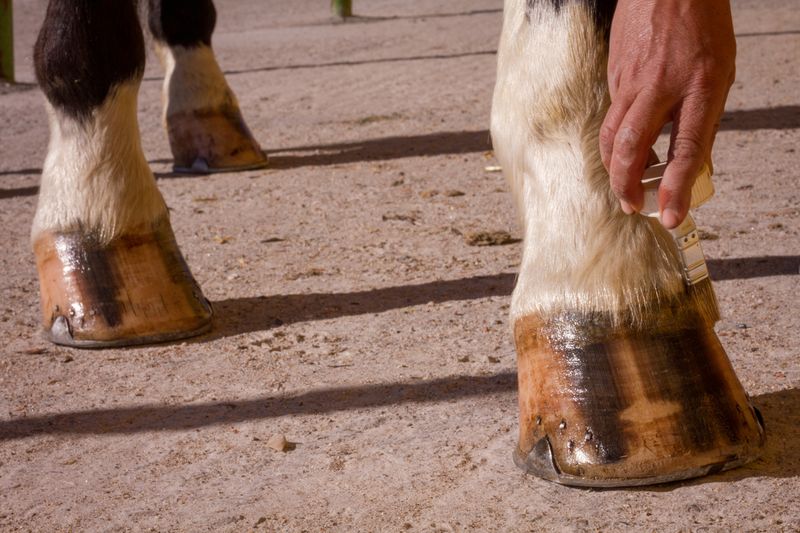 Topical Hoof Products