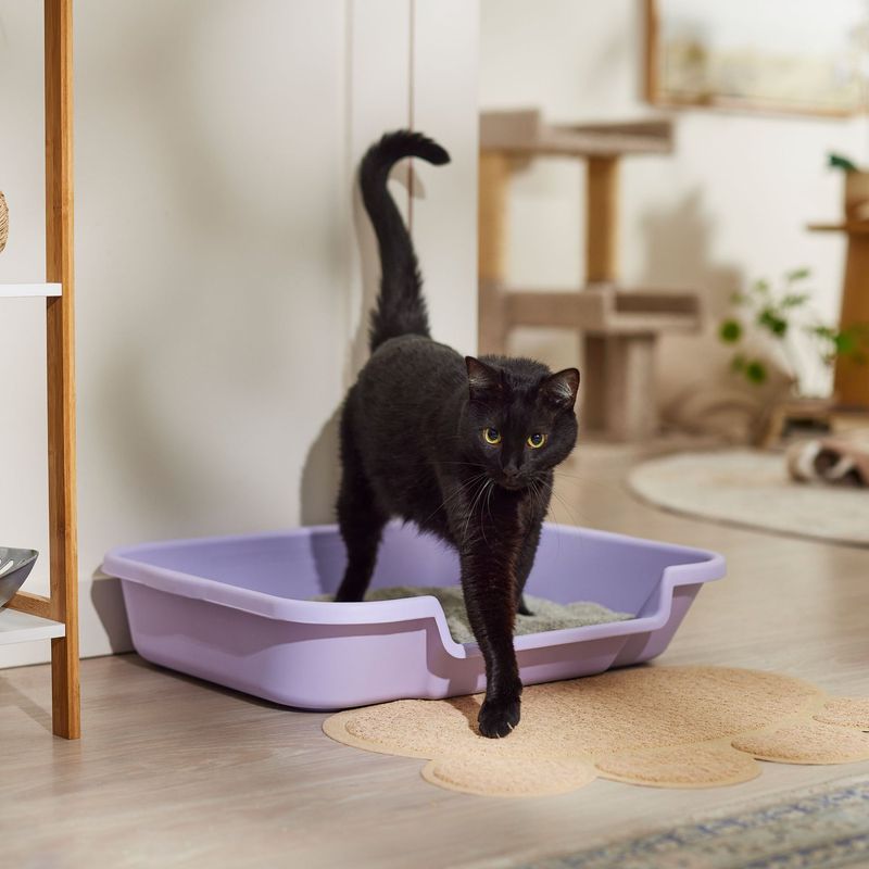 Keep Litter Boxes Accessible