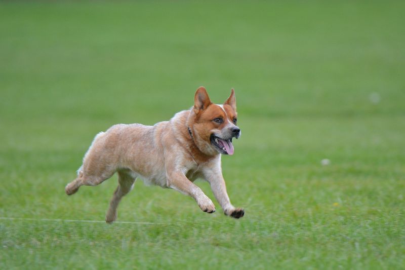 Exercise Requirements For Energy