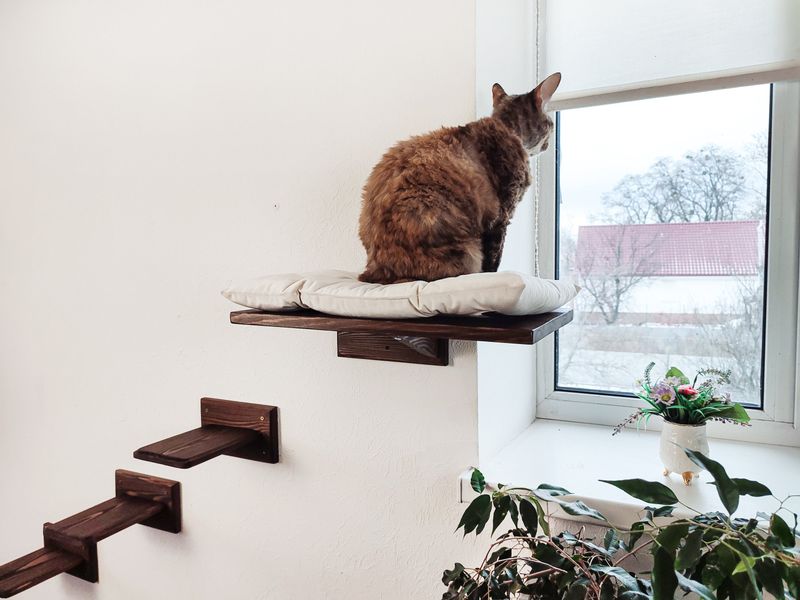 Elevated Resting Spots