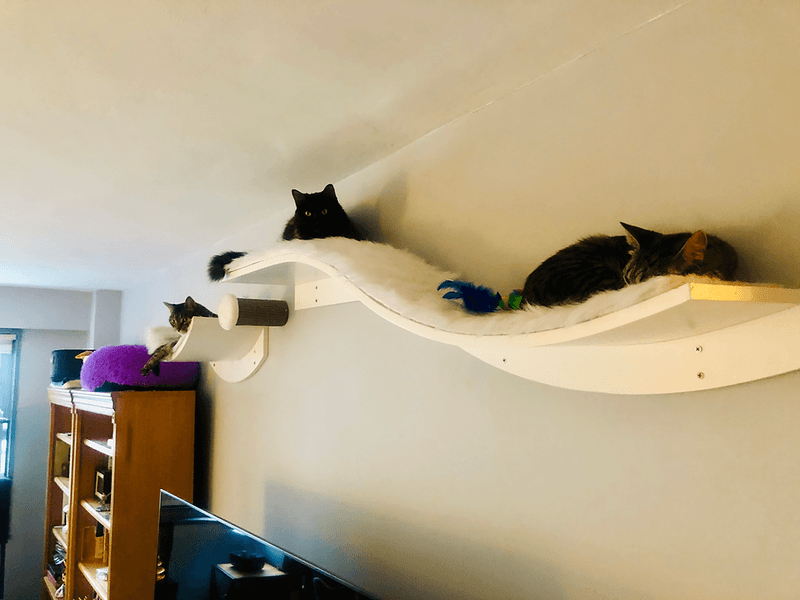 Provide Vertical Spaces
