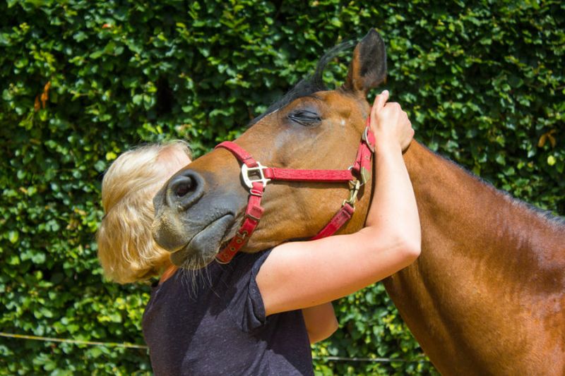 Face Massages