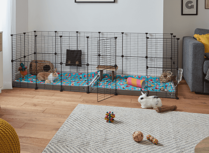 Housing Size Affects Lifespan