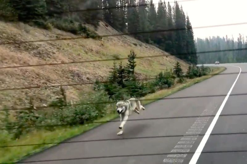 MISTAKE: Running Away