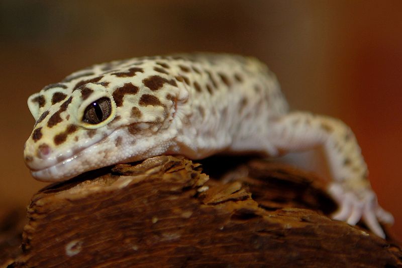 What This Means For Evolutionary Science