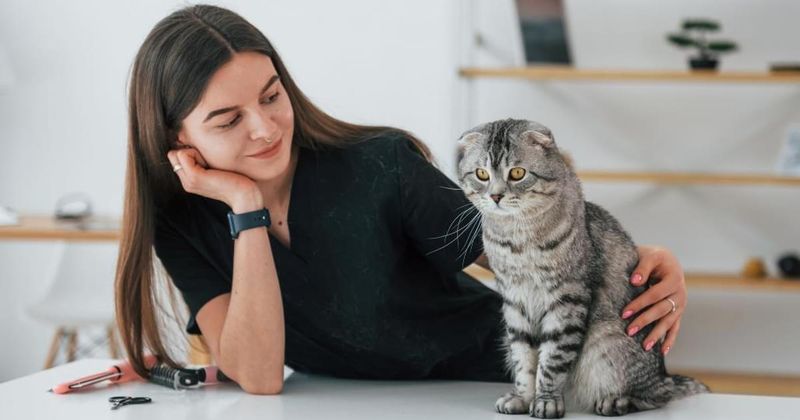 Observe Their Cat Communication Style