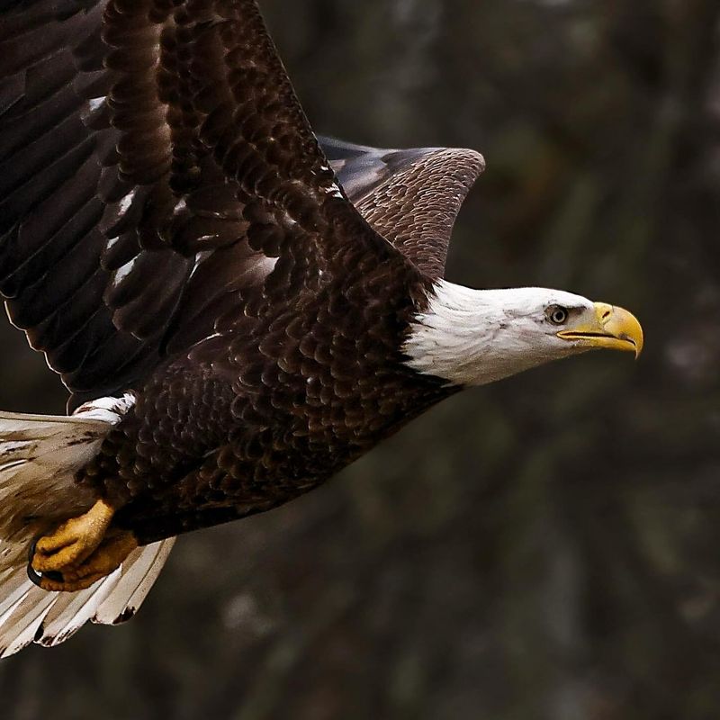 Respect The Habitat