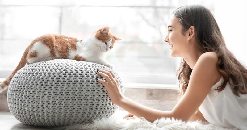 Create Predictable Routines