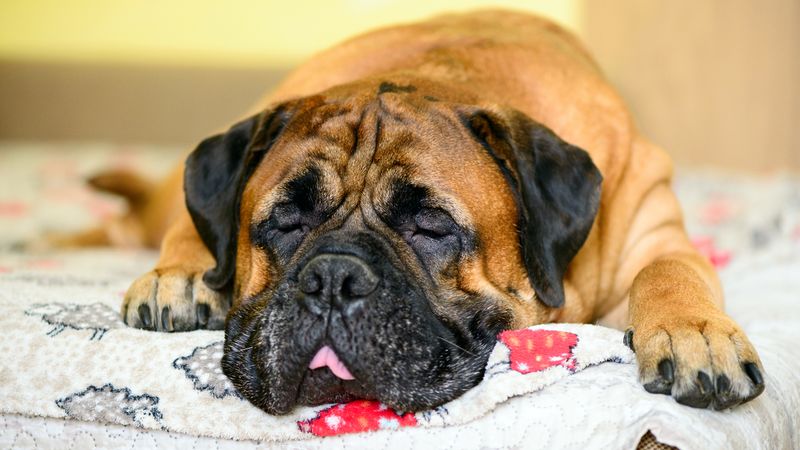Sleep Apnea