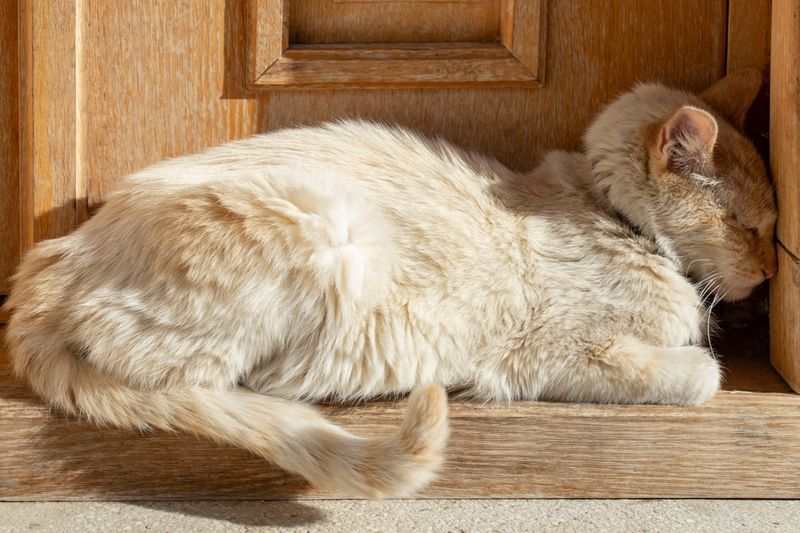 Sleeping In Unusual Positions