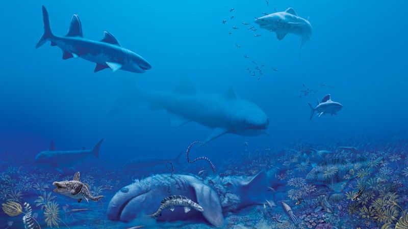 Rewriting Kentucky's Natural History