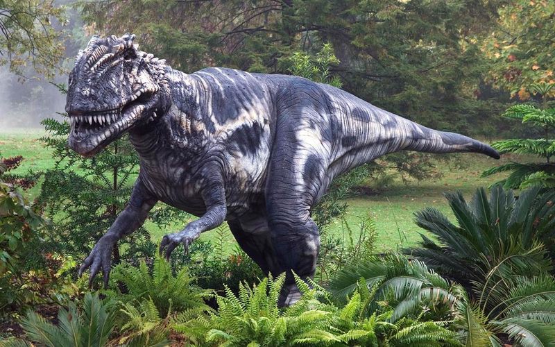 From Megalosaurus To Iguanodon