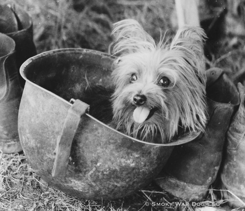 Smoky: The Tiny War Hero
