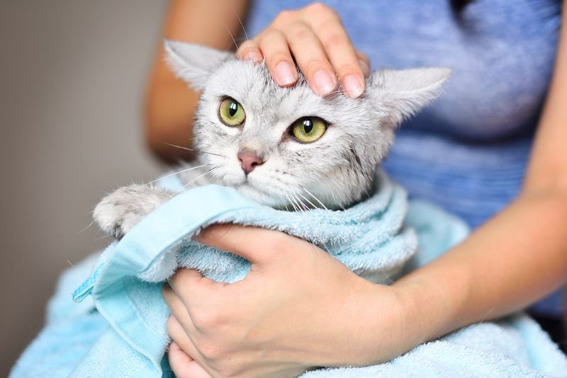 Wrap Immediately In A Warm Towel