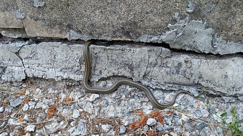 Unsealed Gaps In Foundations