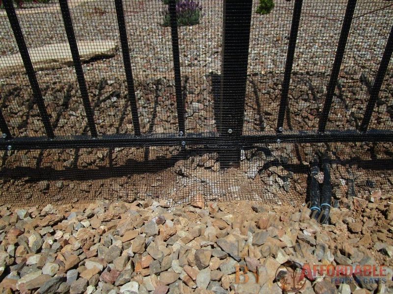 Create A Snake-Proof Barrier