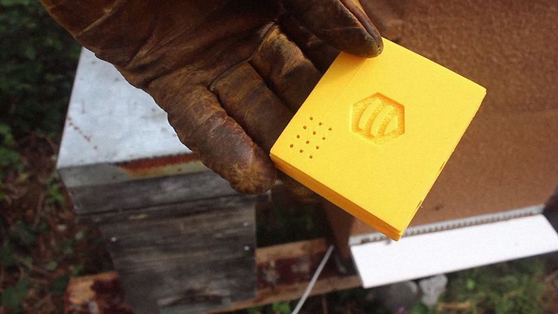 Bee-Focused Technology Monitors Hive Health