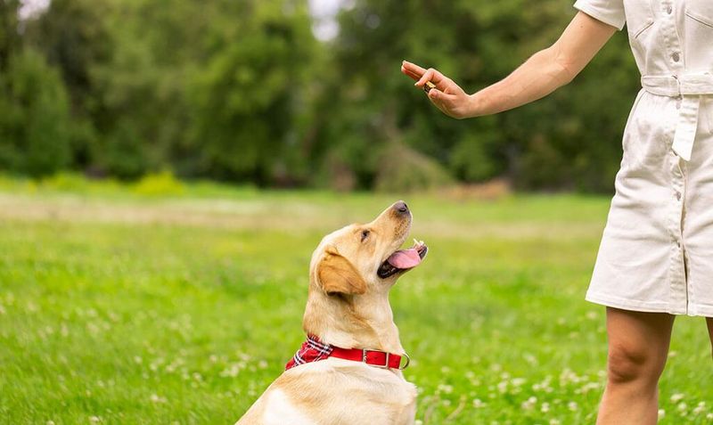Direct Communication Beats Mixed Messages