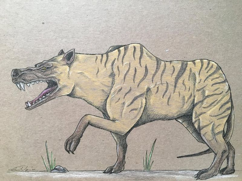 Distinctive Running Style Unlike Modern Predators
