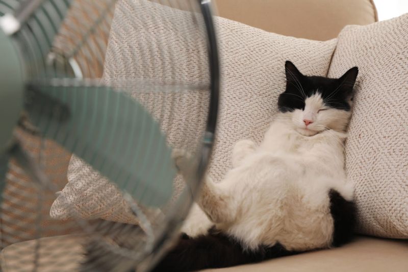 Set Thermostats To Extreme Temperatures