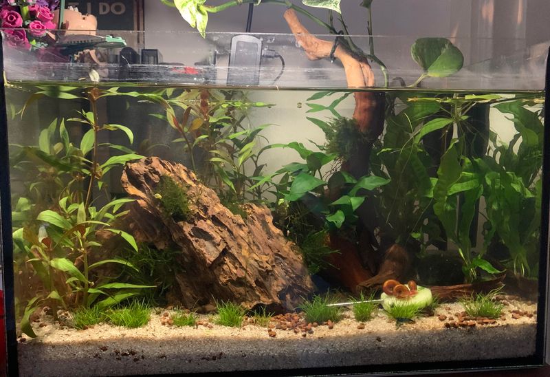 Neglecting Water Top-Offs