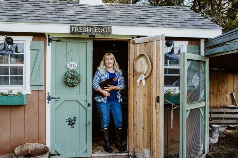 Converted Garden Shed Elegance