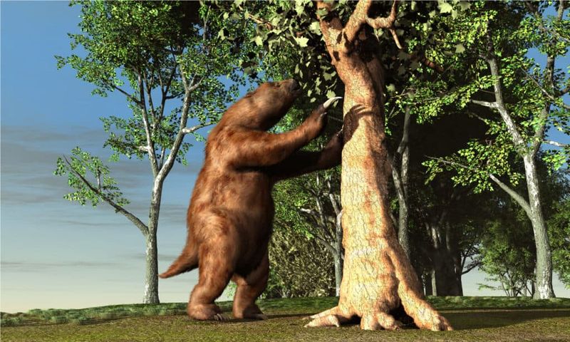 Other Lost Giants Of Florida's Past