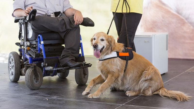 Help With Mobility And Independence