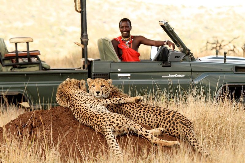 Lewa Wildlife Conservancy, Kenya