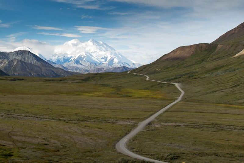 Alaskan Wildlife Highway