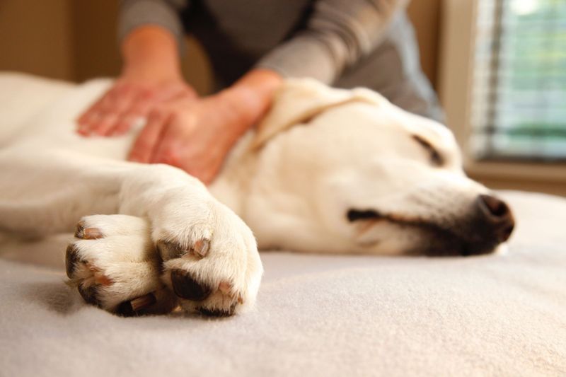 Touch and Massage Connection