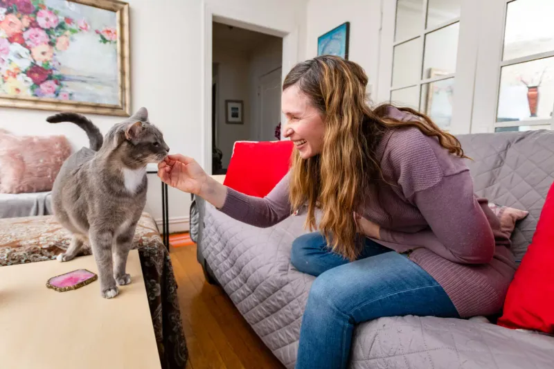 Look For Genuine Cat Affection