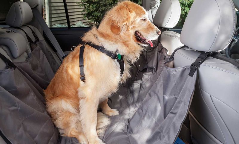 Maintain Comfortable Car Temperature