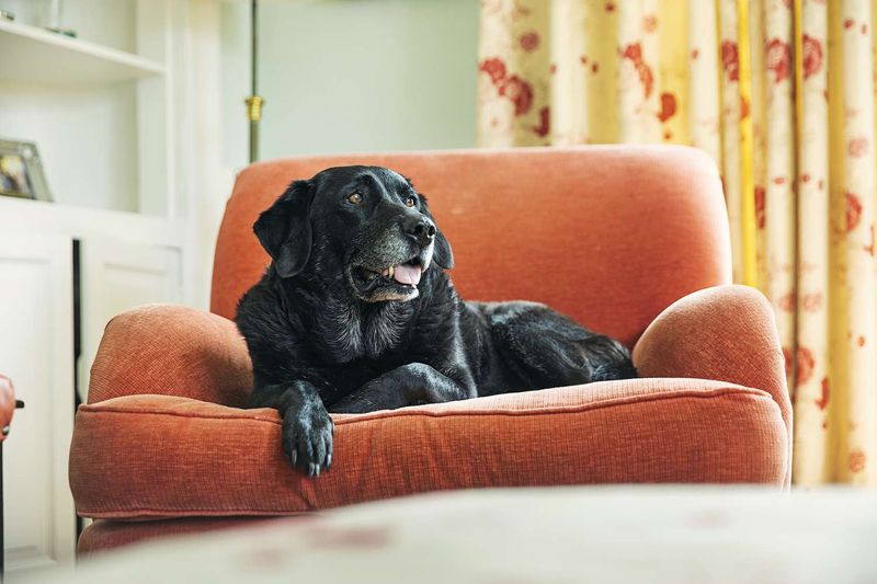 Adapt Your Home For Accessibility