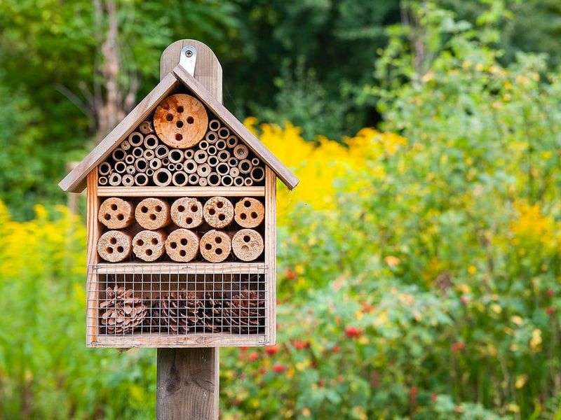 Native Bee Houses Support Wild Pollinators
