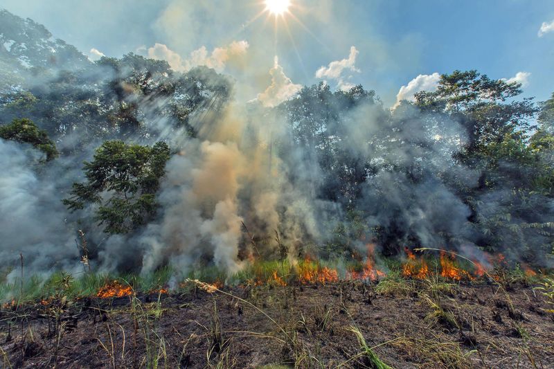 Wildfire Risk Reduction