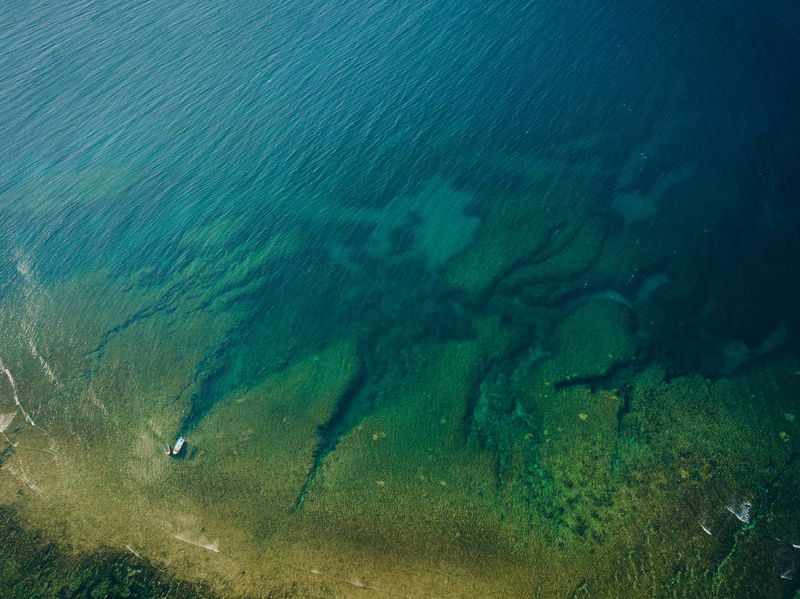 Vietnamese Waters Biodiversity