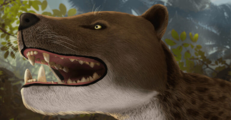 Scientists Construct 3-D Model Of Newly Discovered Ancient Predator