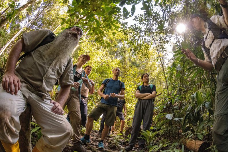 How Scientists Uncovered Four New Tree Snake Species