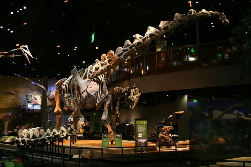 The Mighty Alamosaurus: A Giant Dinosaur Unearthed